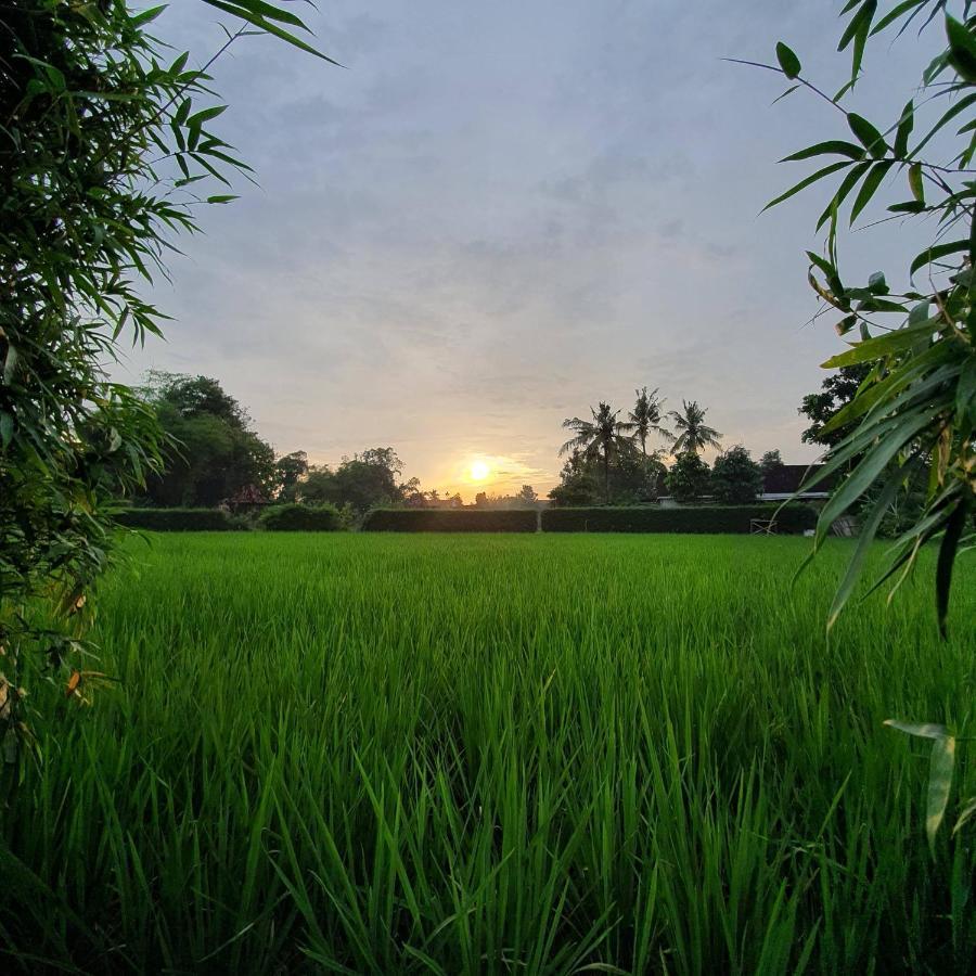 Yabbiekayu Eco-Bungalows Jogyakarta Zewnętrze zdjęcie